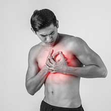 heart cardiovascular