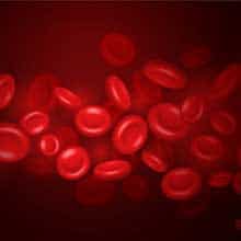 blood related - hematology