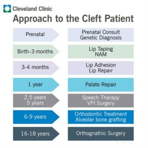 How do we approach cleft patients