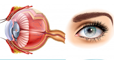 Oculoplastia