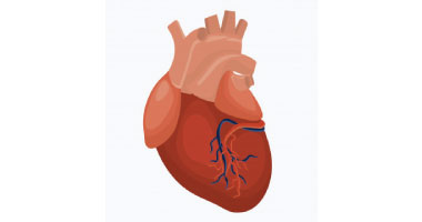 Transplantation cardiaque