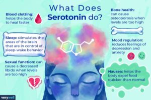 Funktionen von Serotonin