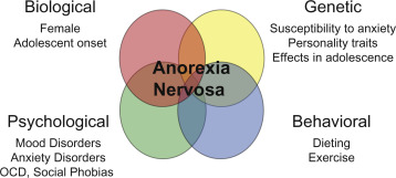 Risikofaktoren für Anorexia Nervosa