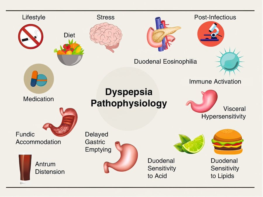 causes of functional dyspepsia