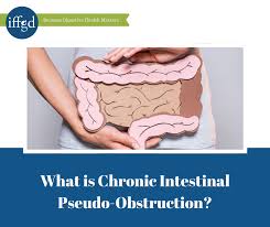 Chronic Intestinal Pseudo-obstruction