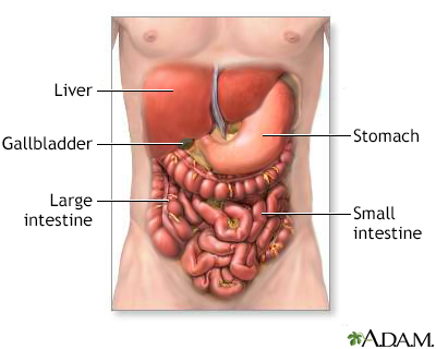 Pseudo obstruction intestinale