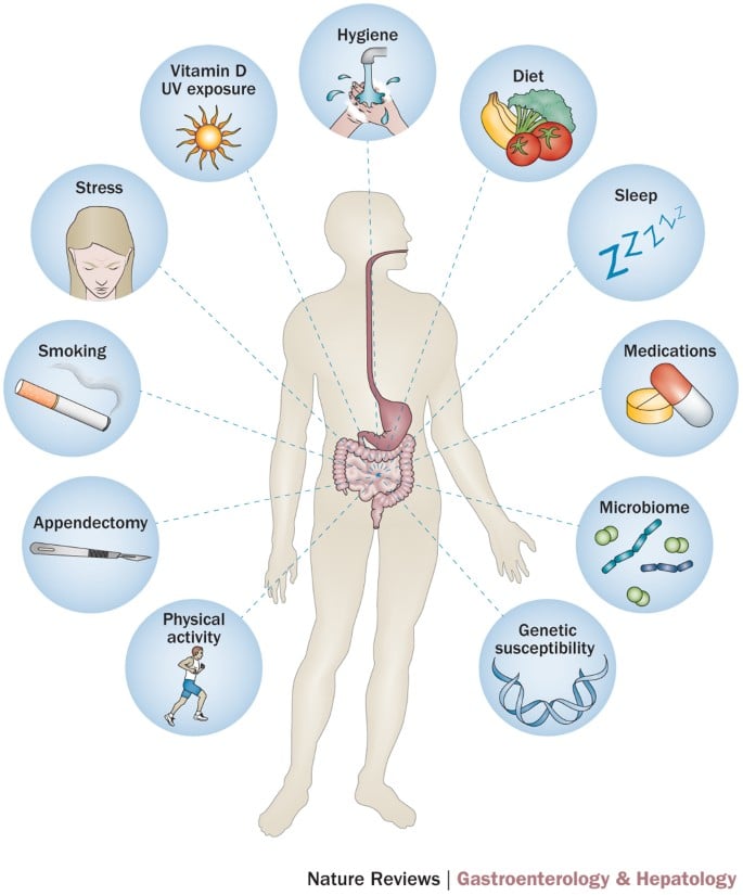 risk factors for inflammatory bowel disease
