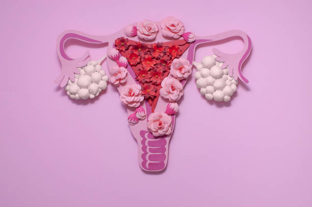 Können Ovarialzysten Unfruchtbarkeit verursachen?
