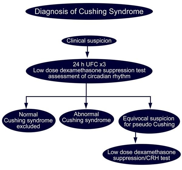 diagnosis of Cushing’s syndrome 