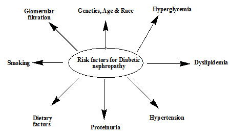 risk factors for Diabetic Nephropathy