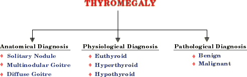 Diagnosis of thyromegaly