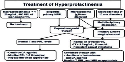 Traitement de l'hyperprolactinémie