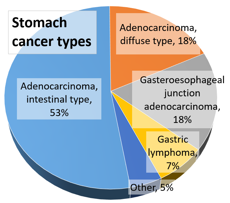 أنواع سرطان المعدة