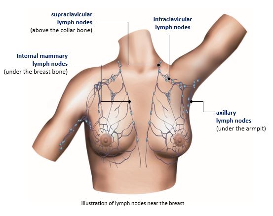 الغدد الليمفاوية بالقرب من الثدي