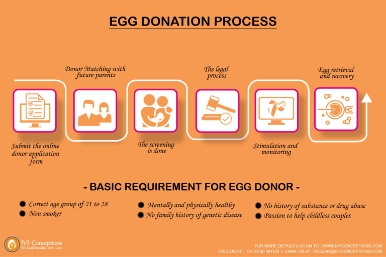 étapes du don d'ovules
