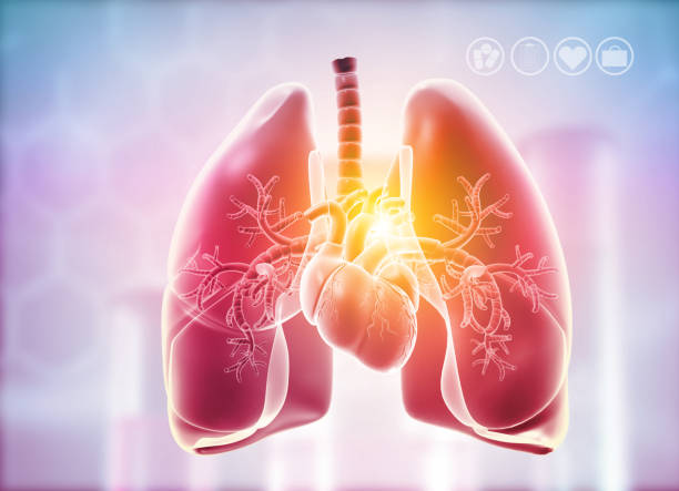 Raisons de la double transplantation pulmonaire