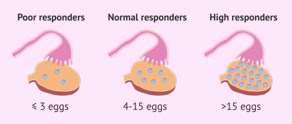 Preparación para la FIV: ¿Cuántos óvulos necesitas?
