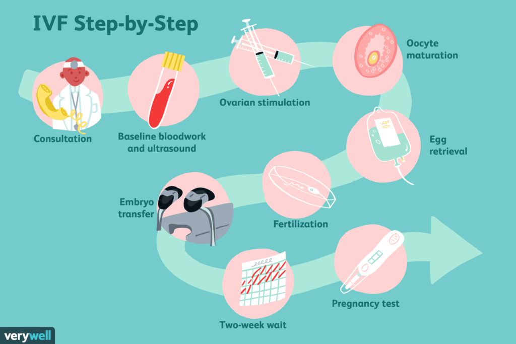 Processes involved in IVF