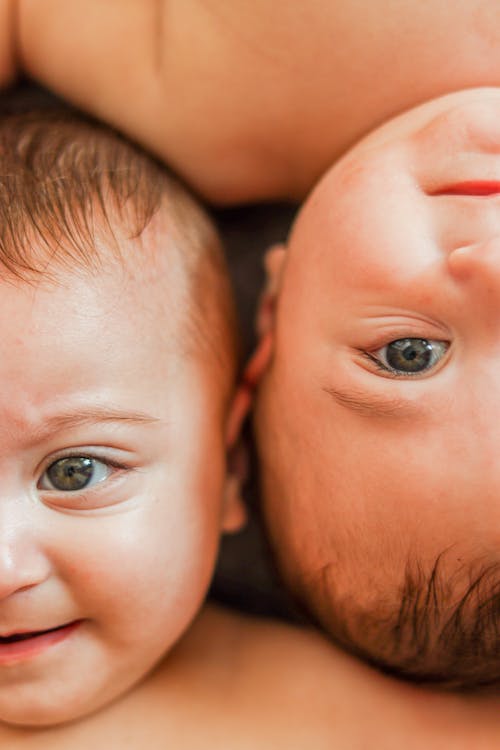 Chancen auf Zwillinge mit Leihmutterschaft