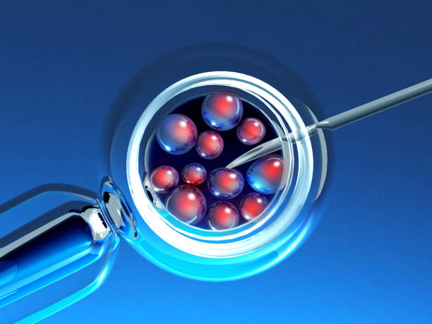 FIV et transfert d'embryons congelés (FET)