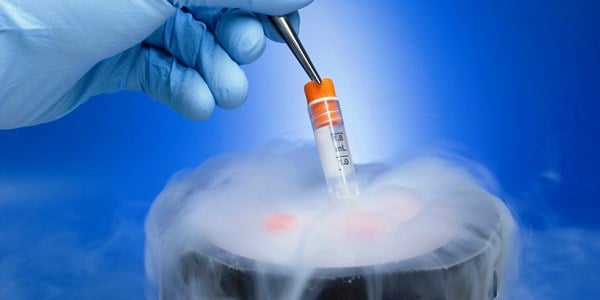 subrogación con introducción de embrión enviado congelado