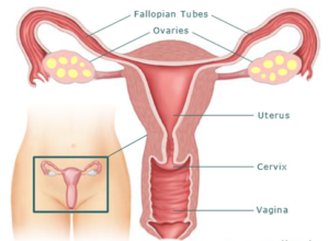 What is Fallopian Tube Recanalization?