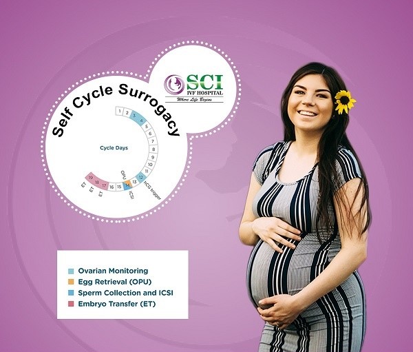 How does the self-cycle surrogacy program work