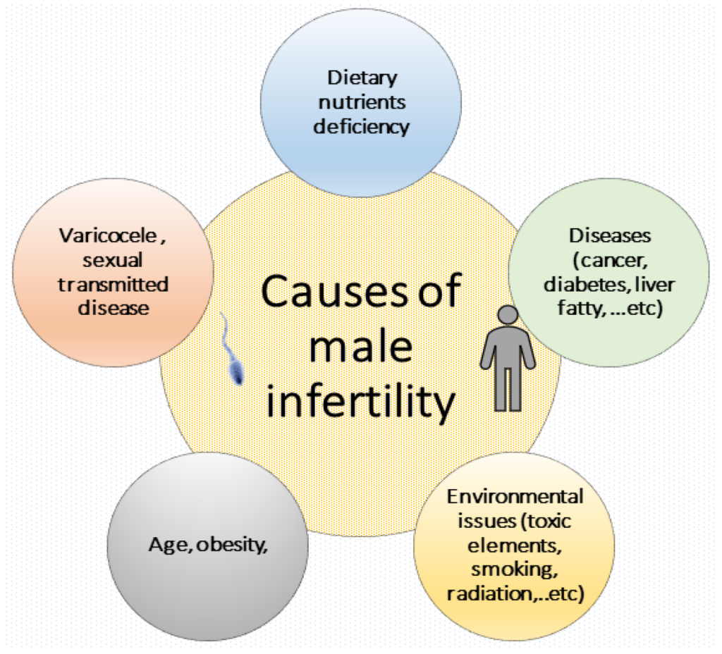 What are the causes of male infertility