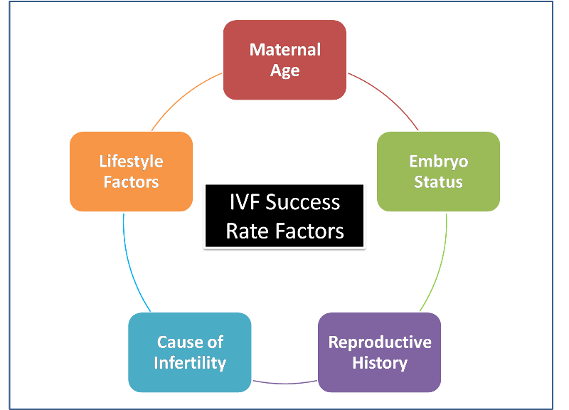 Facteurs qui affectent les taux de réussite de la FIV image
