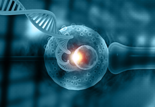The Role of Genetics in Infertility and Surrogacy