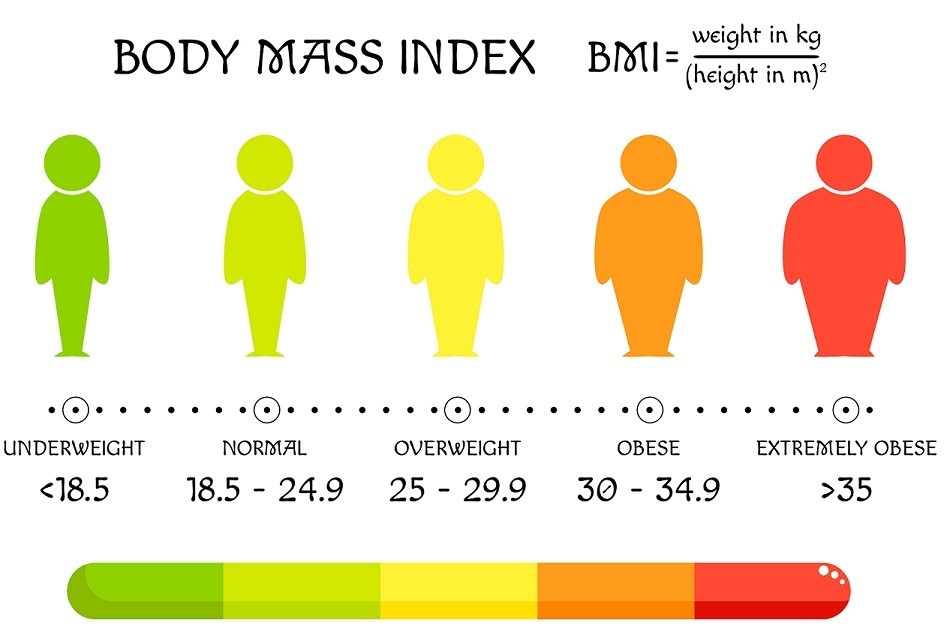 BBL and BMI: