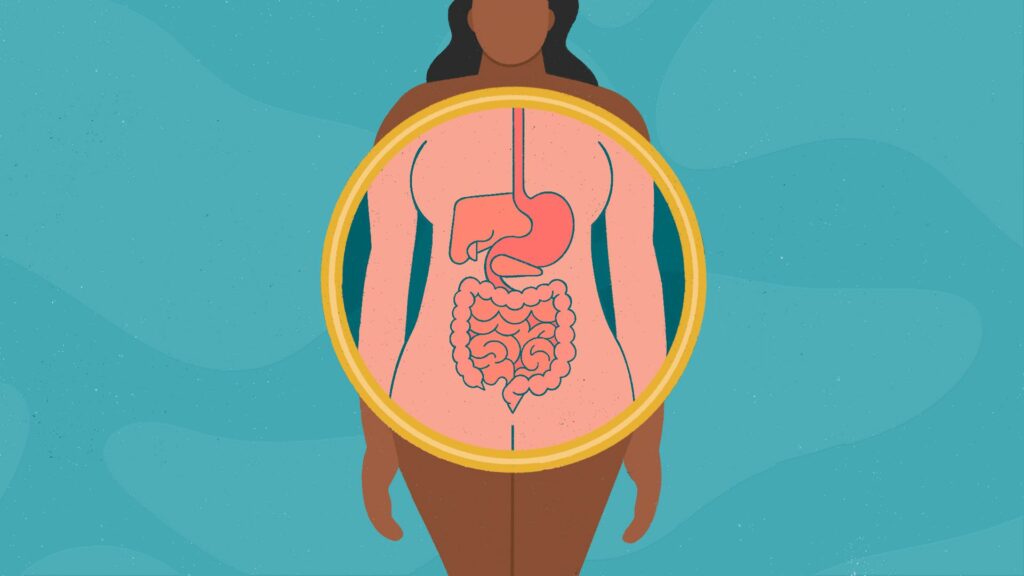 Hábitos saludables para una mejor digestión - sistema digestivo