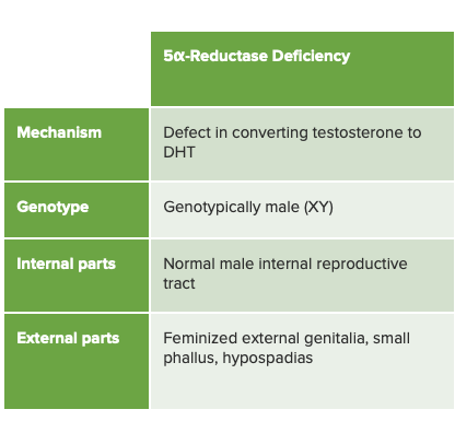 Déficit en 5-Alpha-Réductase : Comprendre l'infertilité dans les organes génitaux ambigus