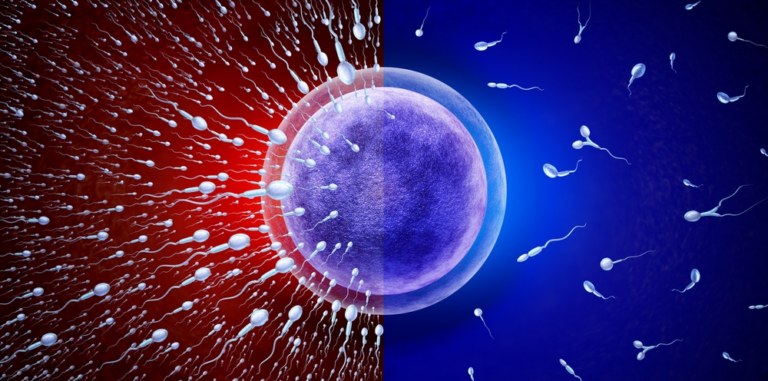 Chromosomal Abnormalities and Infertility