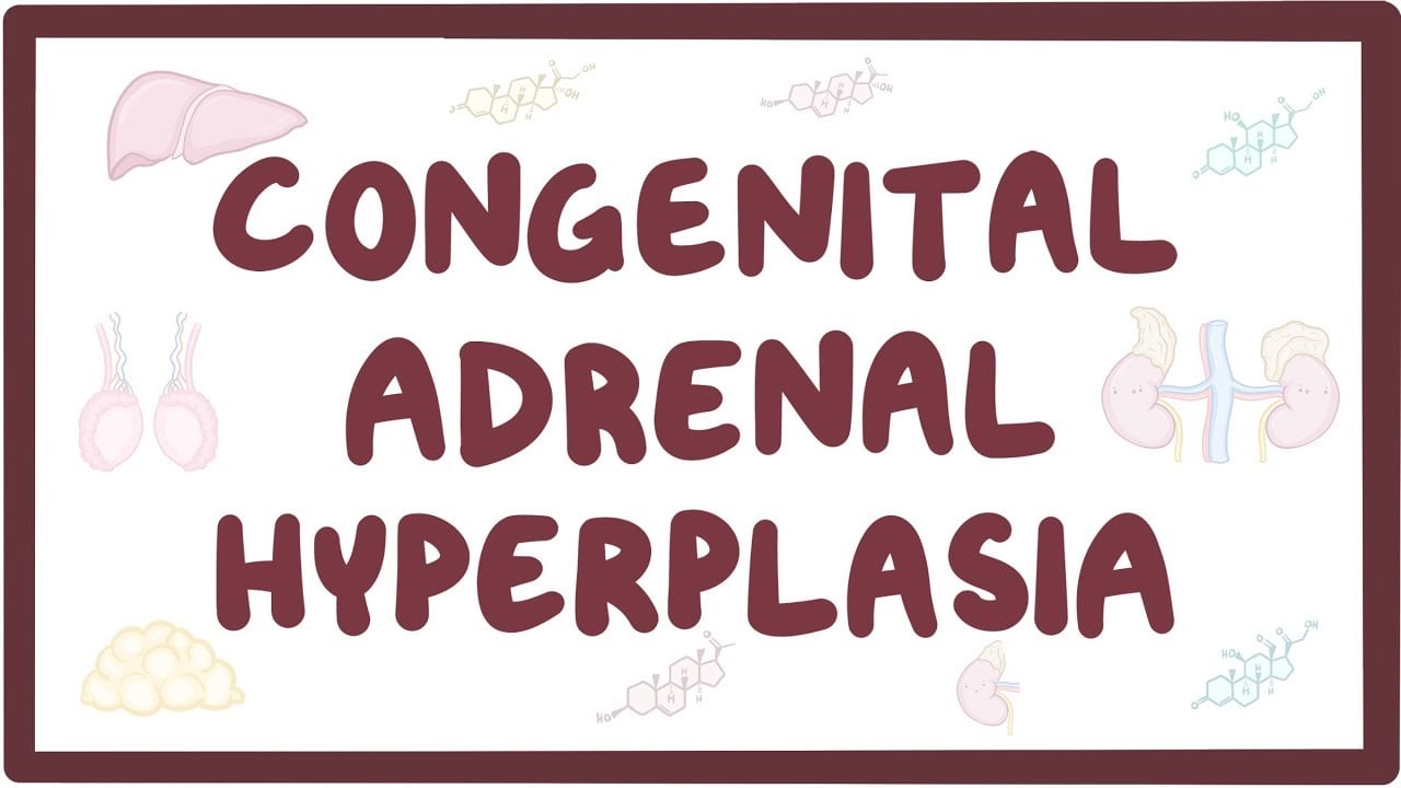 Hormonal Hitch- How Congenital Adrenal Hyperplasia Affects Fertility