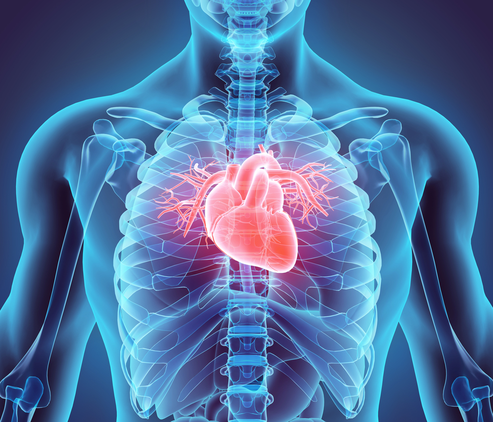 صحة القلب والأوعية الدموية في أشهر الشتاء- نصائح للكنديين