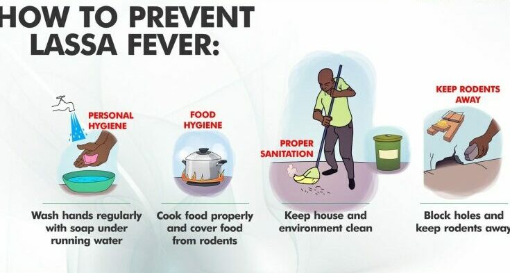 Behandlung von Lassa-Fieber in Nigeria – Was Sie wissen müssen – Prävention