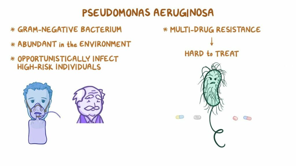 Traitement du Pseudomonas aeruginosa