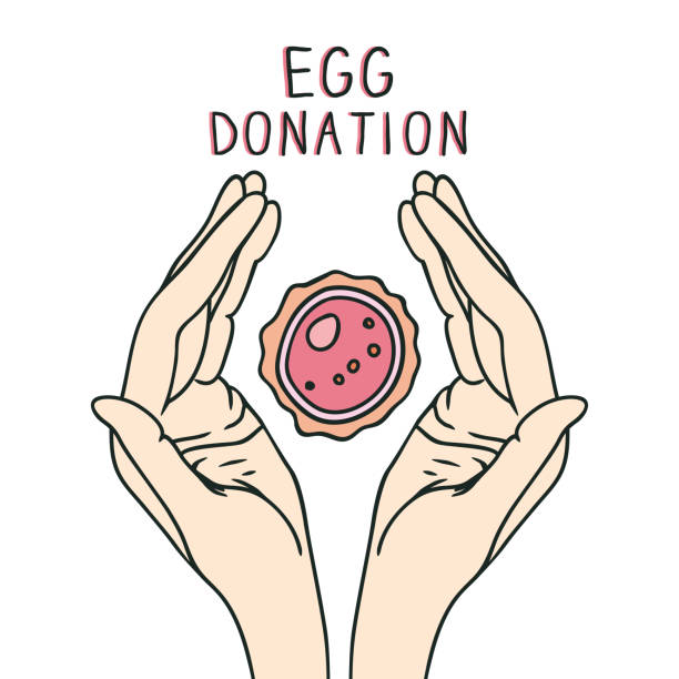 Celebridades que utilizaron donantes de óvulos