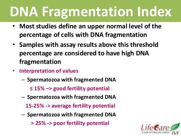 Índice de fragmentación del ADN