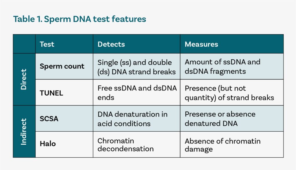 Prueba de fragmentación de ADN: tipos de ensayo