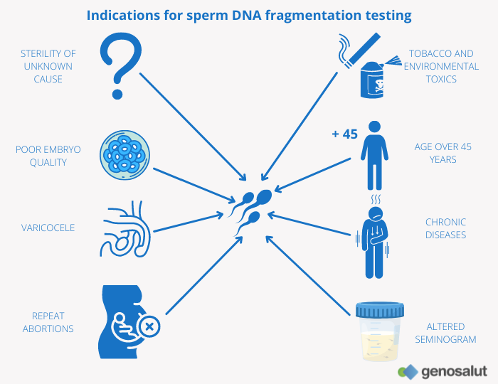 Prueba de fragmentación de ADN- indicaciones