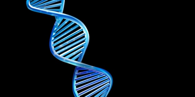 DNA-Fragmentierungstest