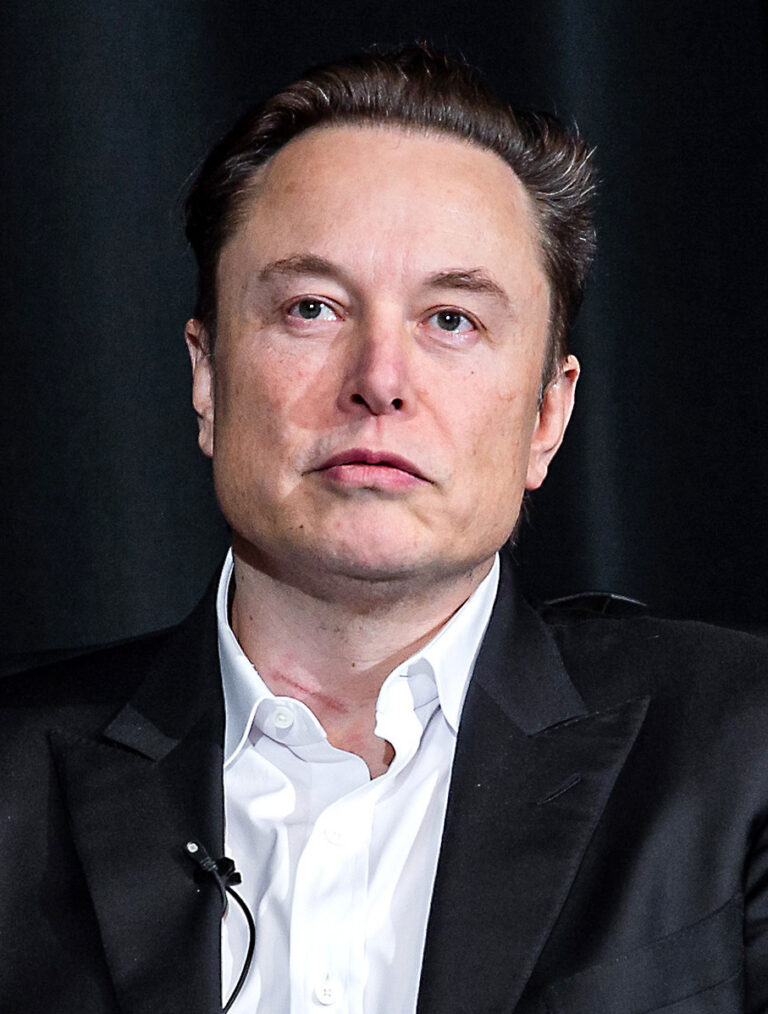 Elon Musks Leihmutterschaft