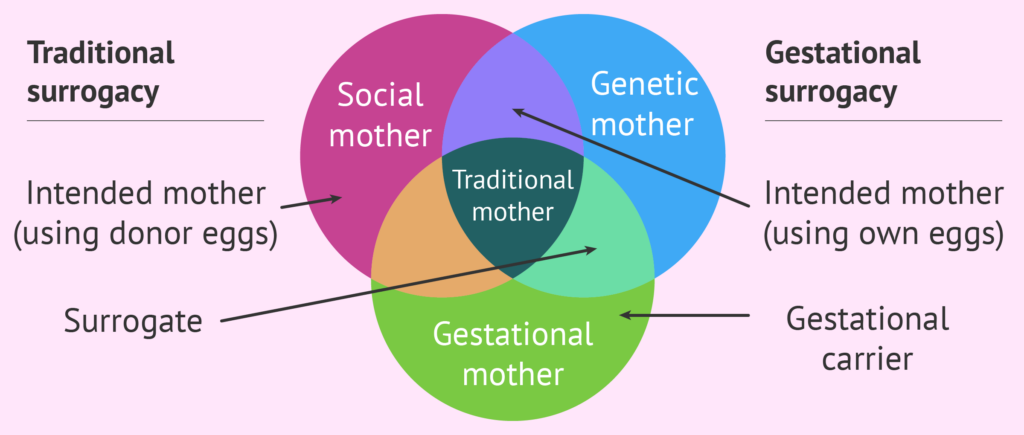 Ini Edo Surrogacy - Types of Surrogacy