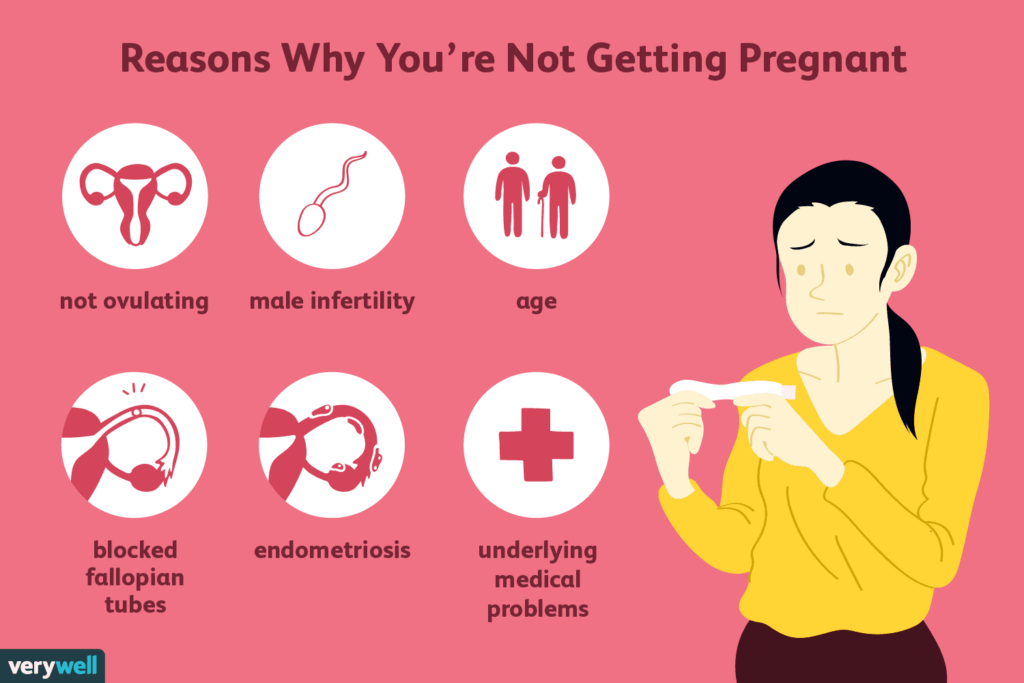 Why Am I Not Getting Pregnant When Everything Is Normal - reasons