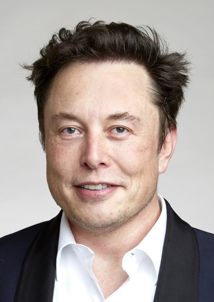 why do celebrities use surrogates - Elon Musk